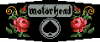 146-Motörhead-403